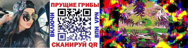 Псилоцибиновые грибы мицелий даркнет сайт hydra ссылка Лукоянов